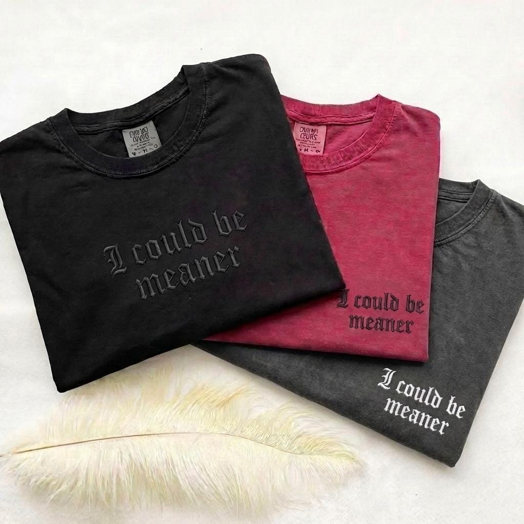 Embroidered Comfort Colors® I Could Be Meaner TShirt, Funny Shirt For Women, Sarcasm Tee, Funny Quote Oversized Shirt, Gift for Her