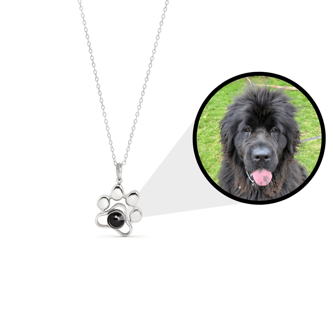 Pendentif Patte de Chien - Projection Photo Personnalisé
